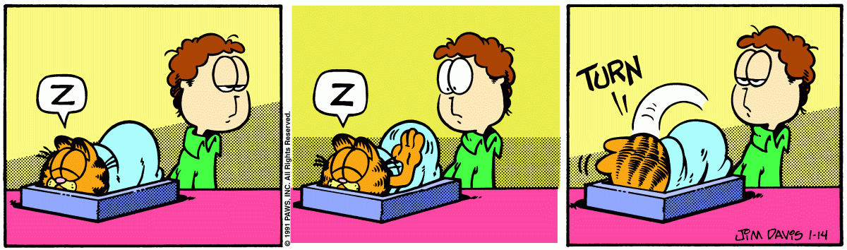 Garfield, January 14, 1991