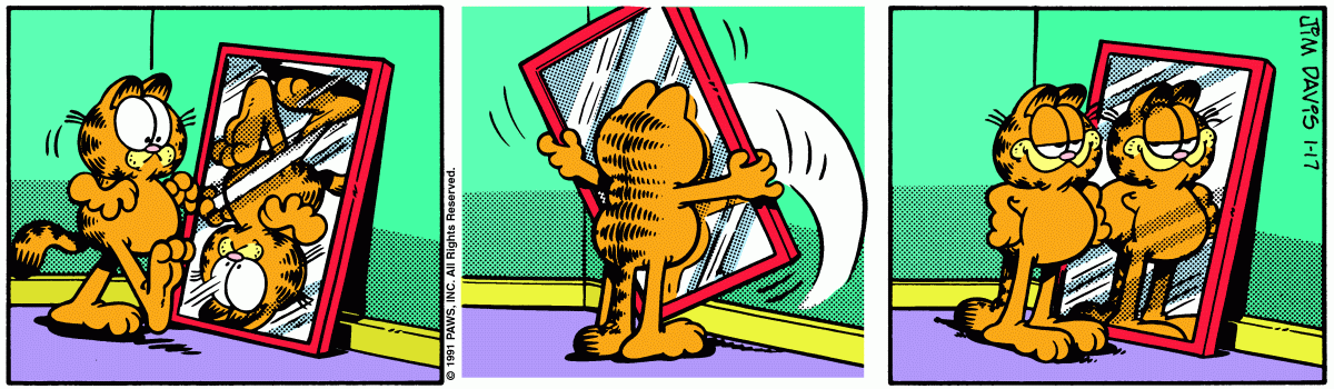 Garfield, January 17, 1991