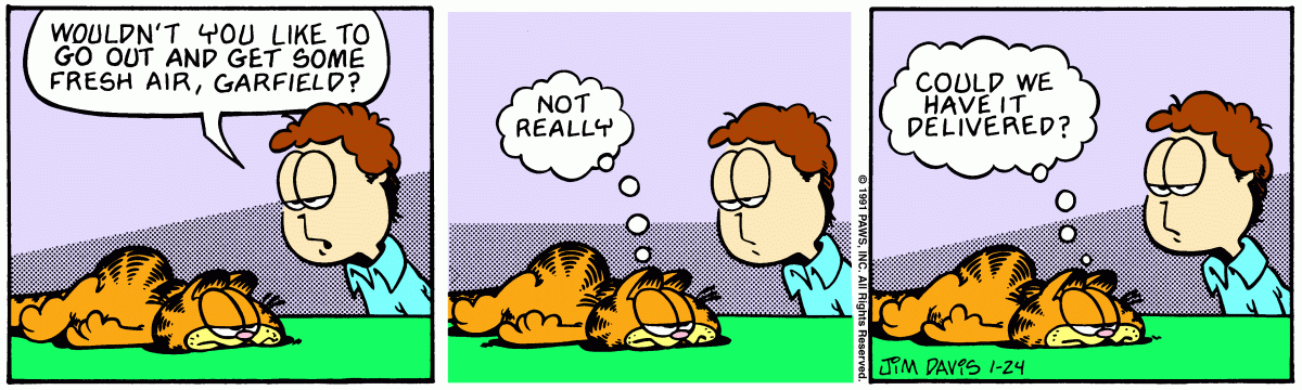 Garfield, January 24, 1991