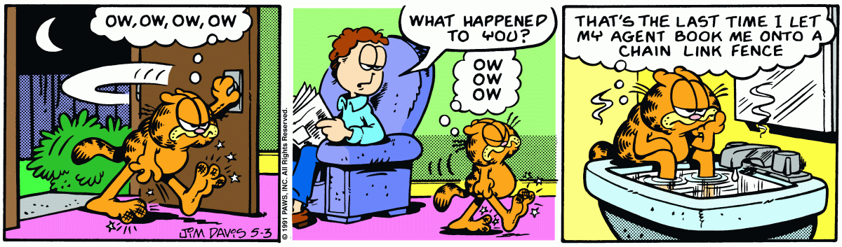 Garfield, May 3, 1991