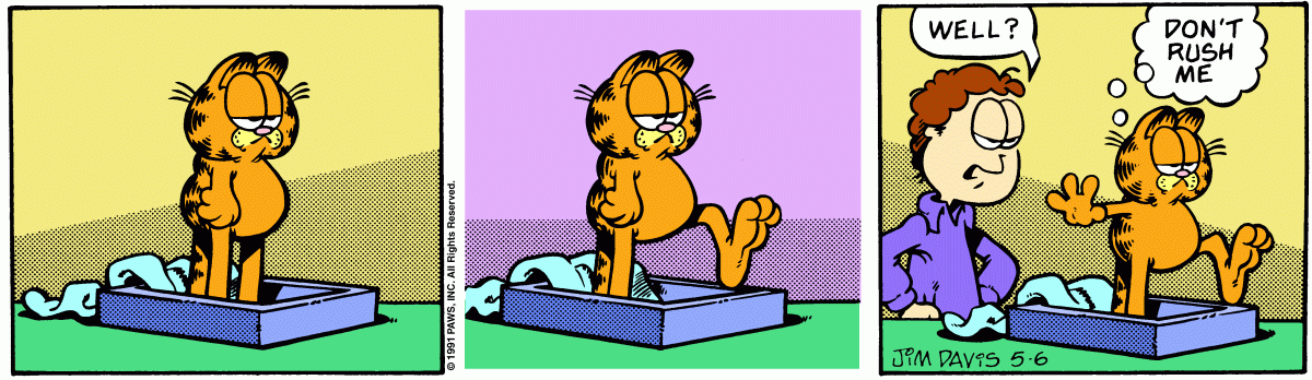 Garfield, May 6, 1991