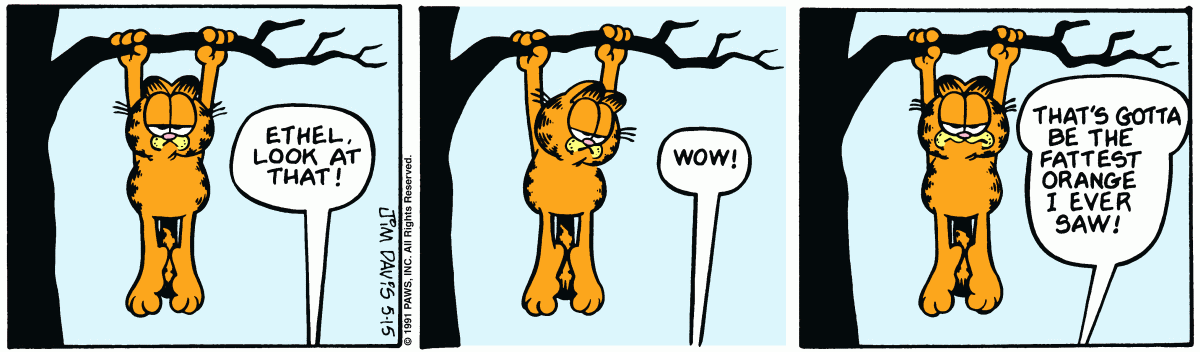 Garfield, May 15, 1991