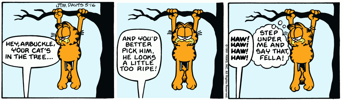 Garfield, May 16, 1991