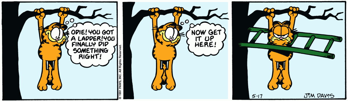 Garfield, May 17, 1991