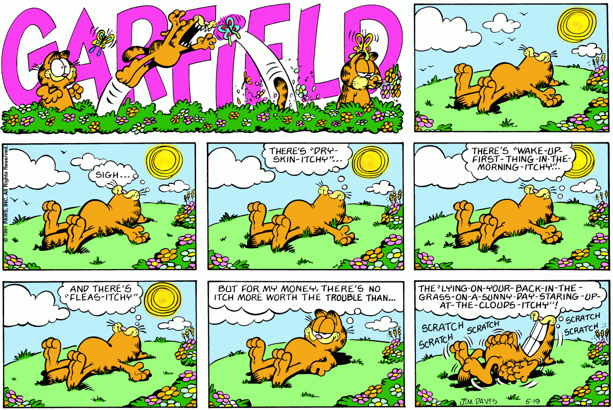 Garfield, May 19, 1991