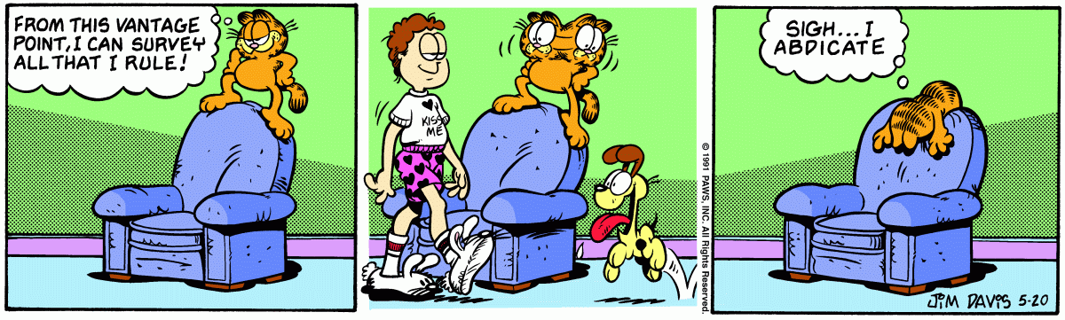 Garfield, May 20, 1991