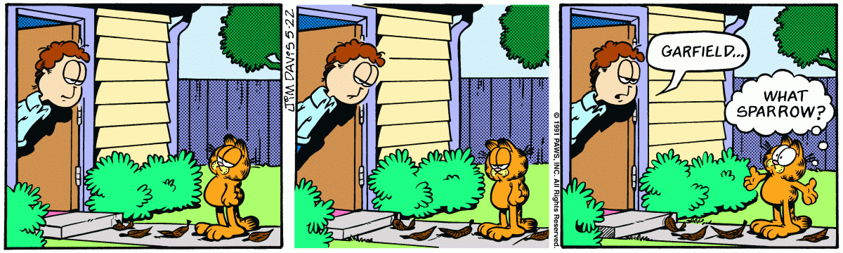 Garfield, May 22, 1991