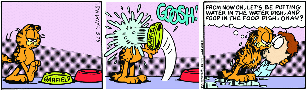 Garfield, May 23, 1991