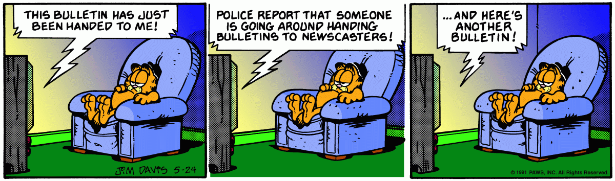Garfield, May 24, 1991