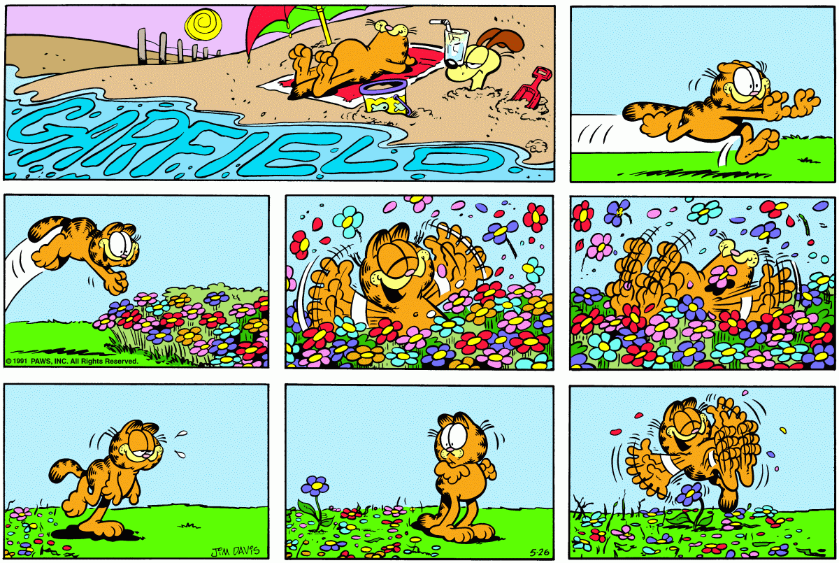 Garfield comic strip for Sunday, May 26, 1991