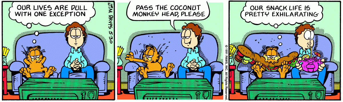 Garfield, May 30, 1991
