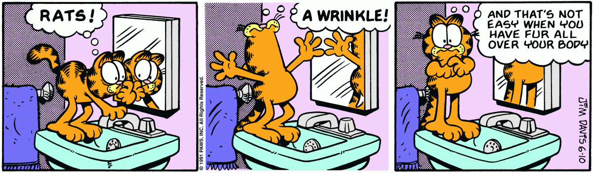 Garfield, June 10, 1991