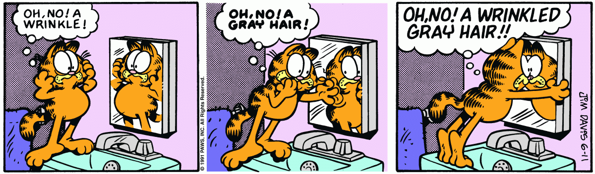 Garfield, June 11, 1991