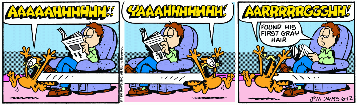 Garfield, June 12, 1991