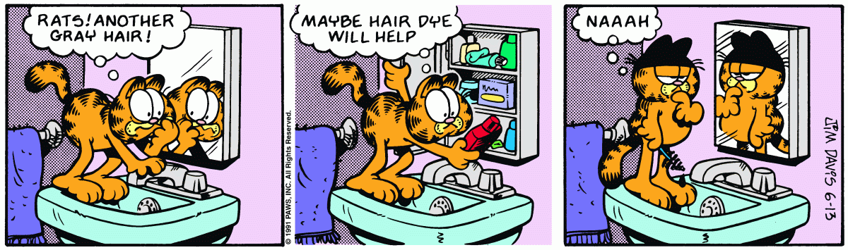 Garfield, June 13, 1991