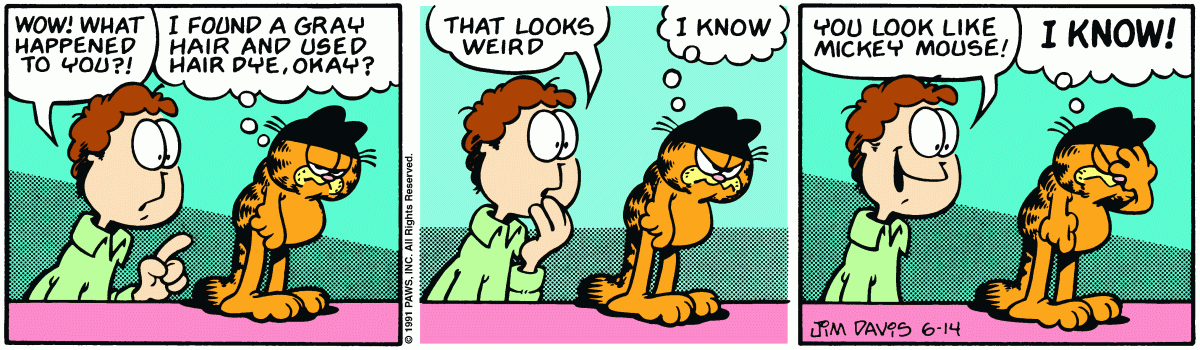 Garfield, June 14, 1991