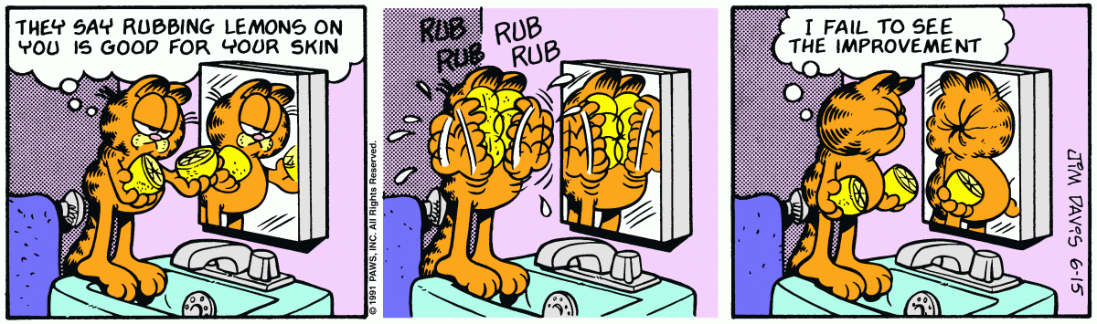 Garfield, June 15, 1991