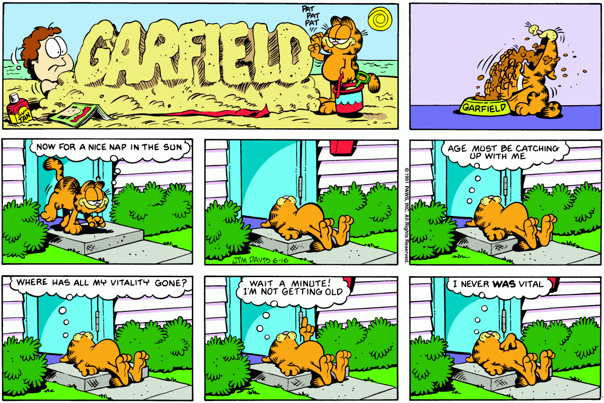 Garfield, June 16, 1991