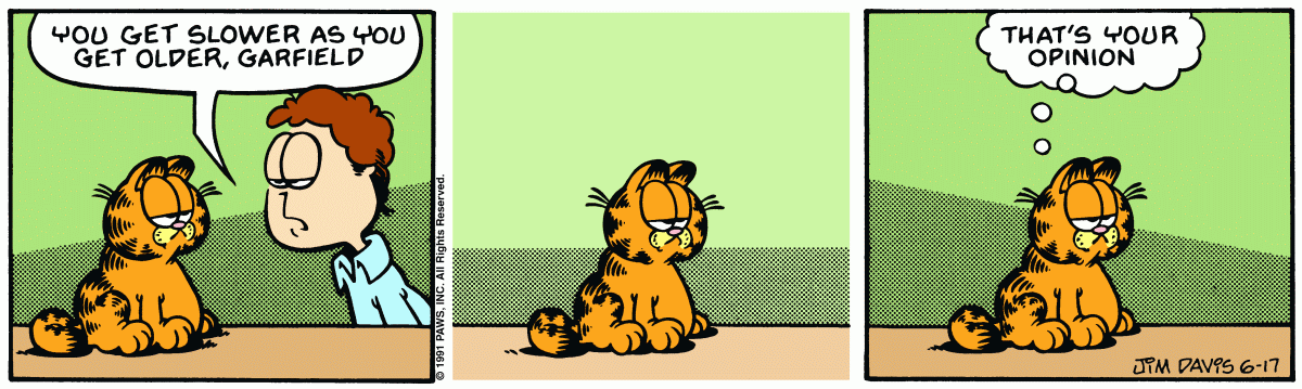 Garfield, June 17, 1991