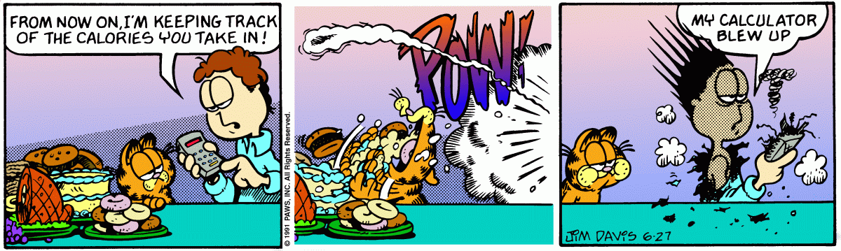 Garfield, June 27, 1991