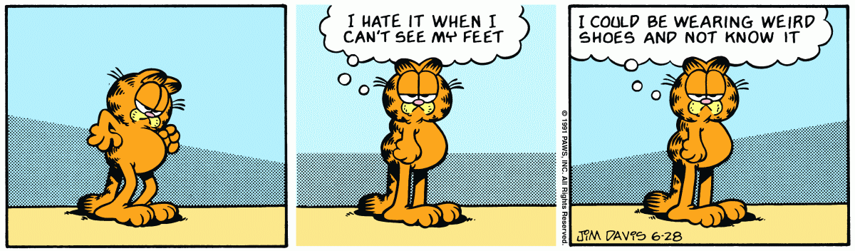 Garfield, June 28, 1991