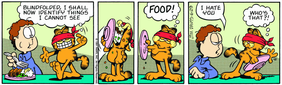 Garfield, June 29, 1991