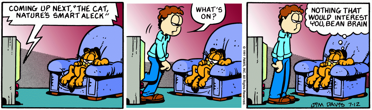 Garfield, July 12, 1991