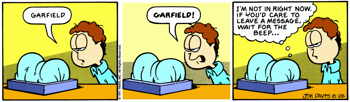 Garfield, August 26, 1991