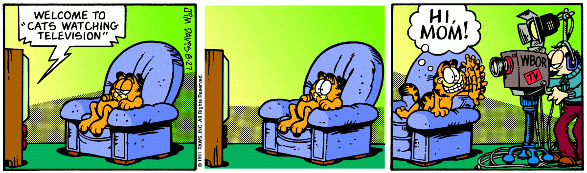 Garfield, August 27, 1991