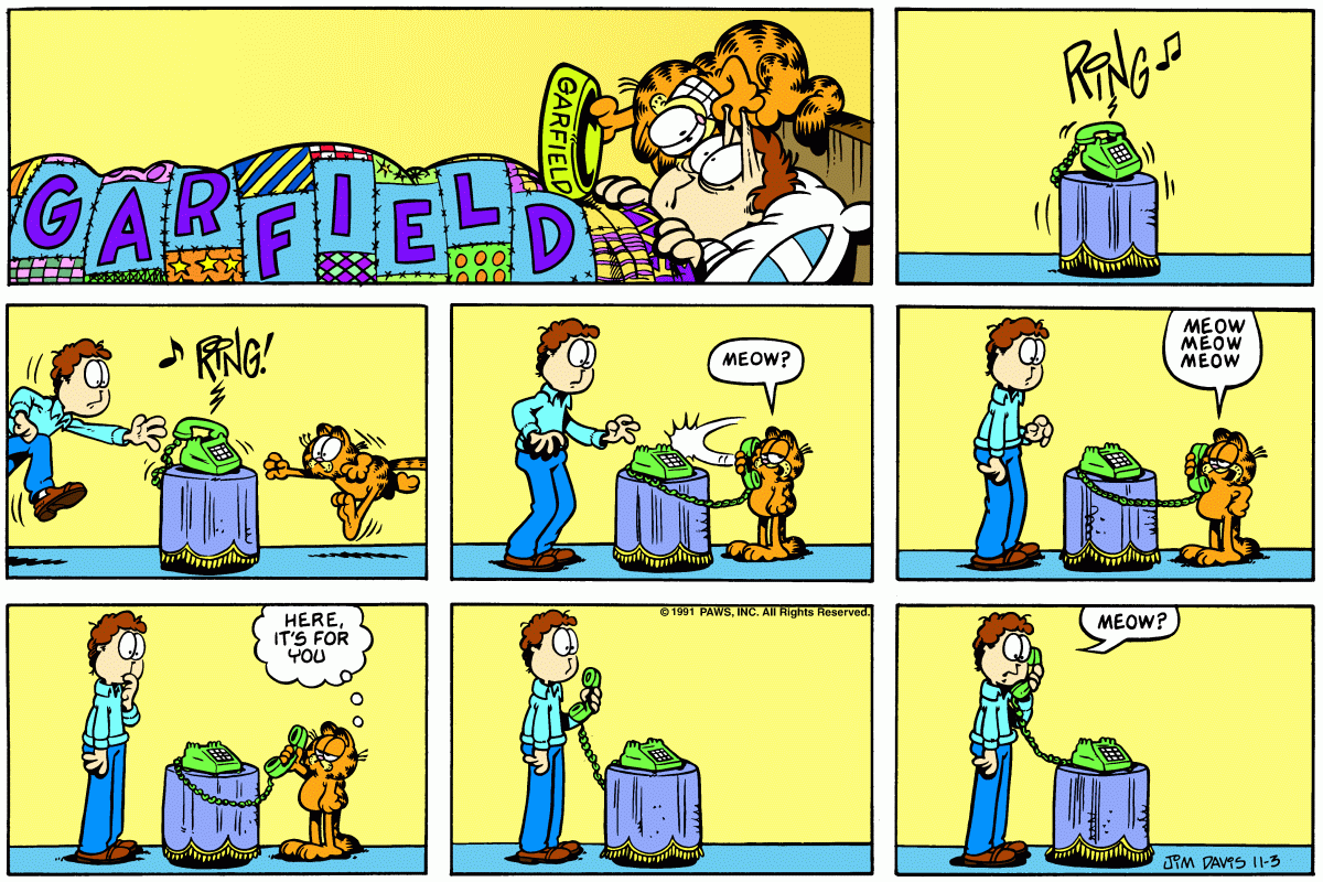Garfield comic strip for Sunday, November 3, 1991