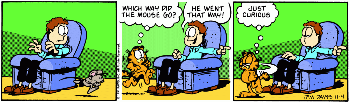 Garfield, November 4, 1991