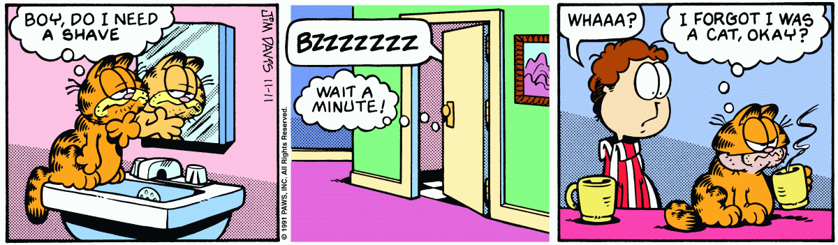 Garfield comic strip for Monday, November 11, 1991
