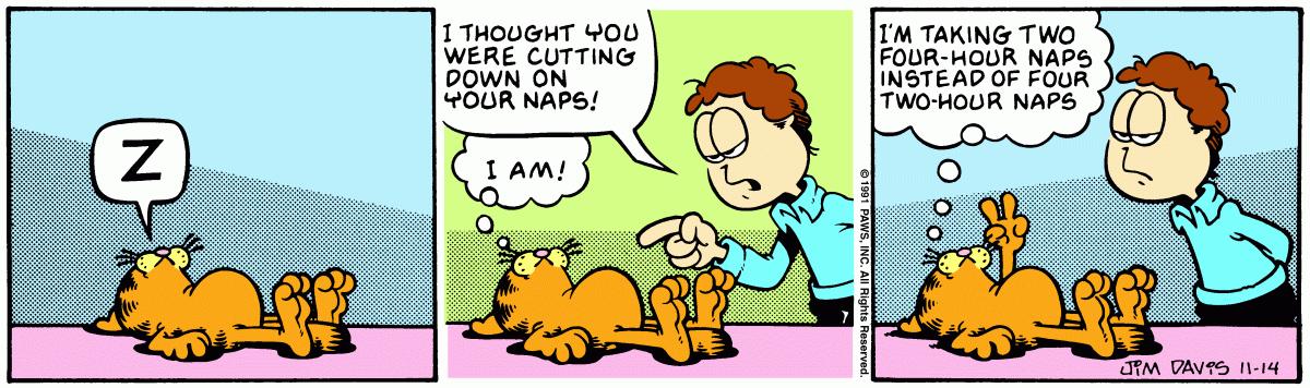 Garfield comic strip for Thursday, November 14, 1991