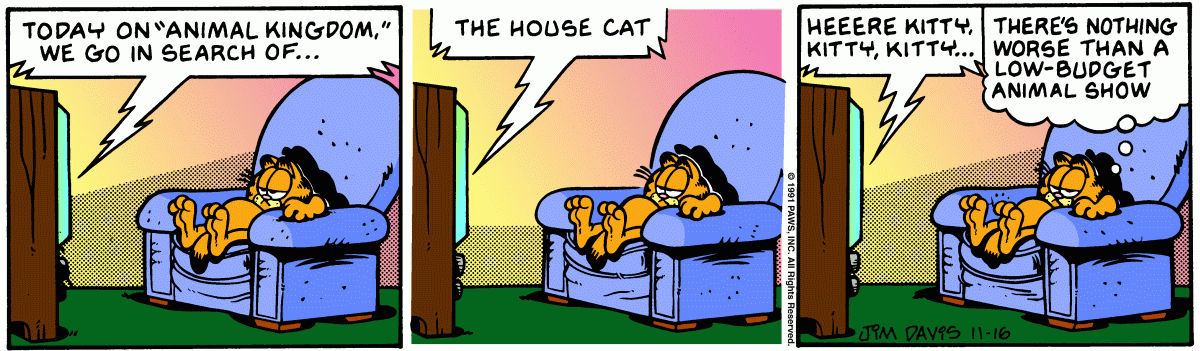 Garfield comic strip for Saturday, November 16, 1991