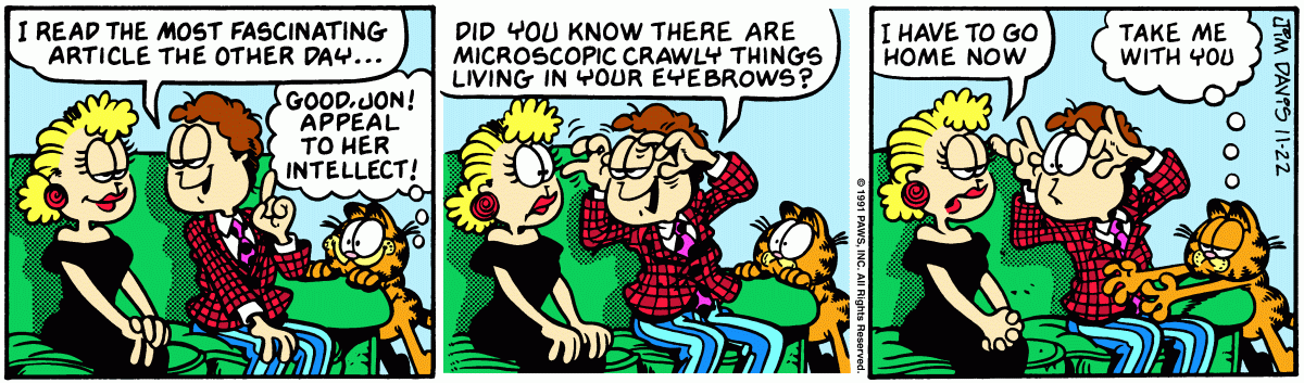 Garfield, November 22, 1991