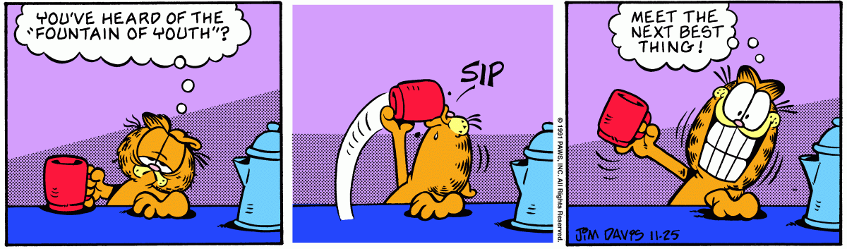 Garfield comic strip for Monday, November 25, 1991