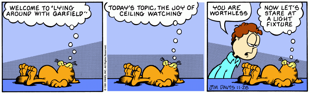 Garfield, November 28, 1991