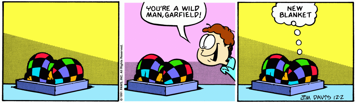 Garfield comic strip for Monday, December 2, 1991