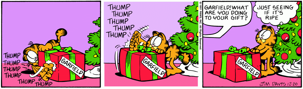 Garfield comic strip for Friday, December 20, 1991