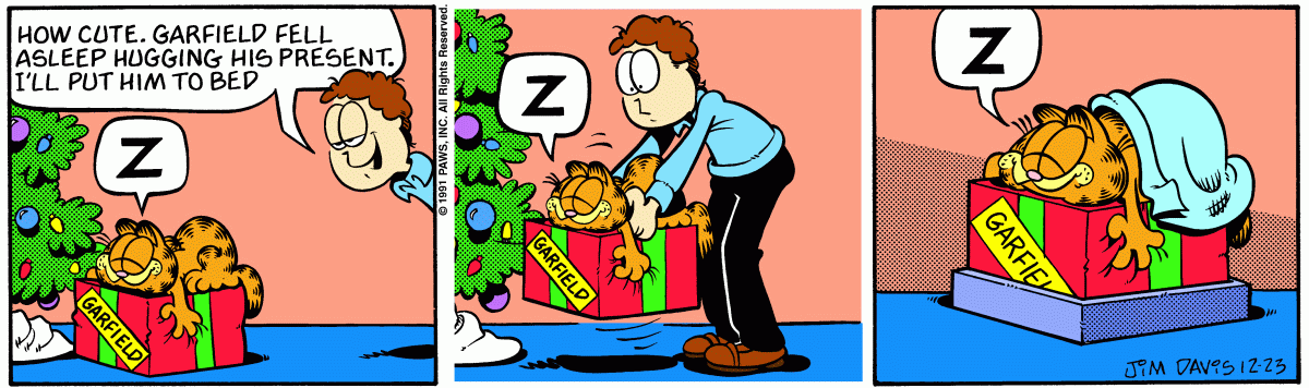 Garfield comic strip for Monday, December 23, 1991