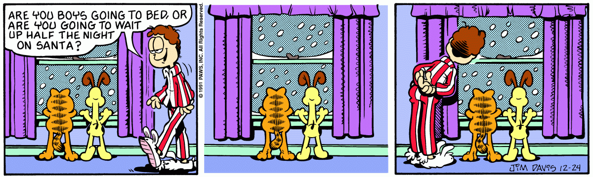 Garfield comic strip for Tuesday, December 24, 1991