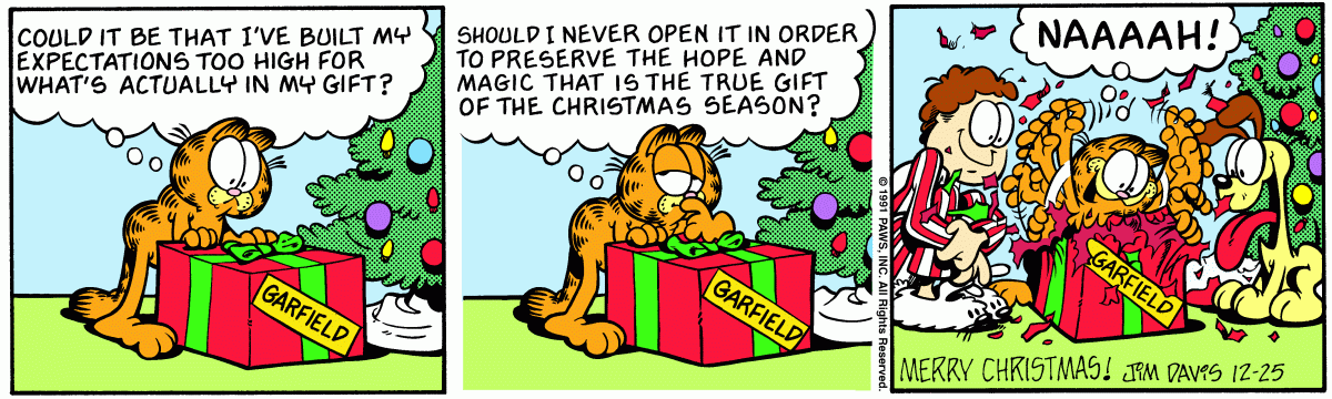 Garfield comic strip for Wednesday, December 25, 1991