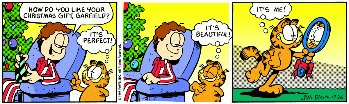 Garfield comic strip for Thursday, December 26, 1991