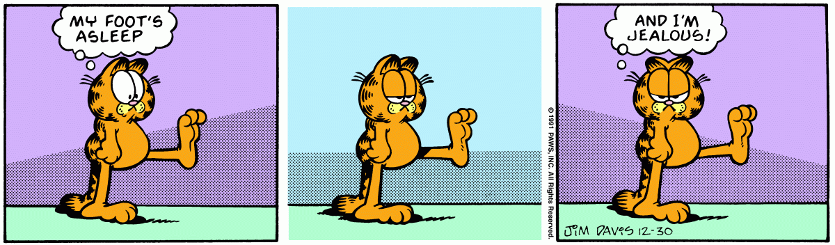 Garfield comic strip for Monday, December 30, 1991