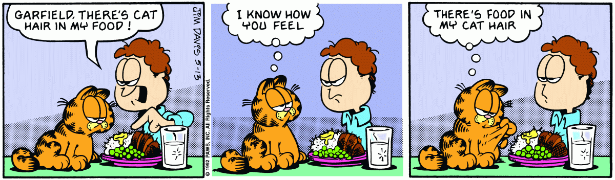 Garfield, May 13, 1992