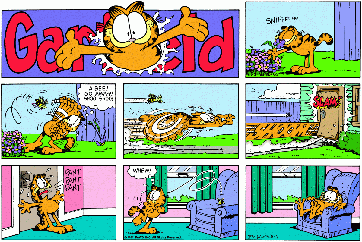 Garfield, May 17, 1992