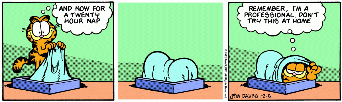 Garfield comic strip for Thursday, December 3, 1992
