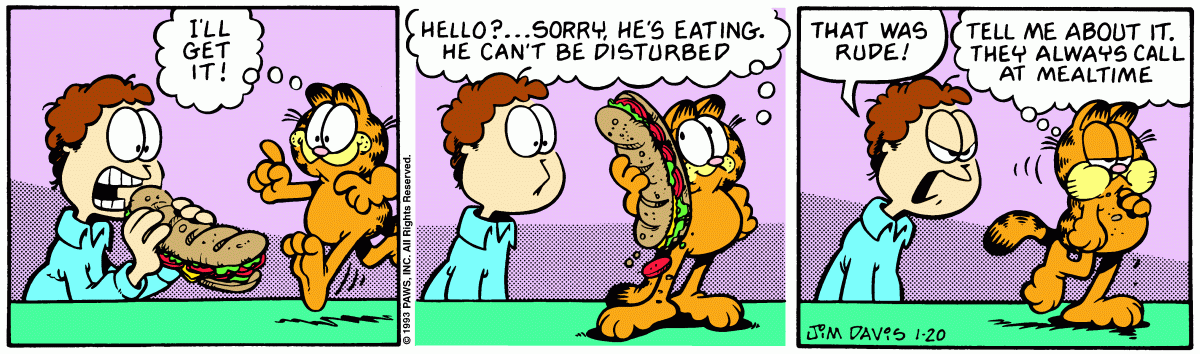 Garfield comic strip for Wednesday, January 20, 1993