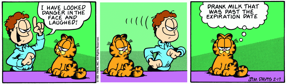 Garfield, February 17, 1993