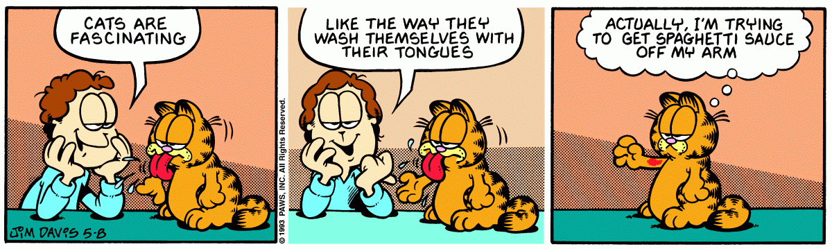 Garfield, May 8, 1993